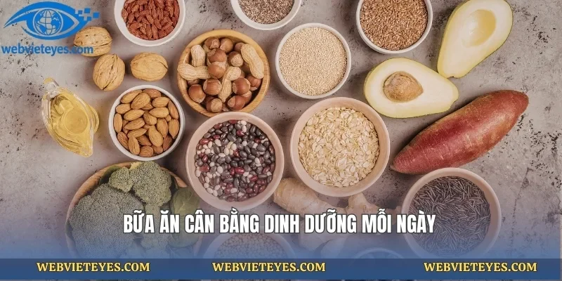 Bữa ăn cân bằng dinh dưỡng mỗi ngày