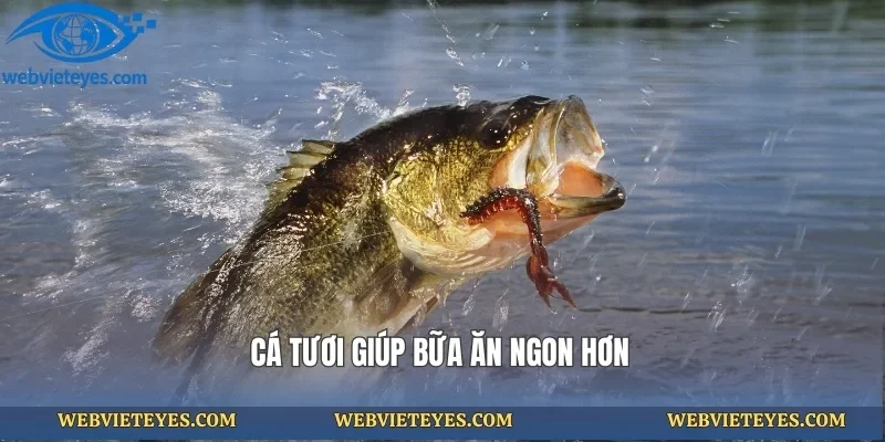 Cá tươi giúp bữa ăn ngon hơn