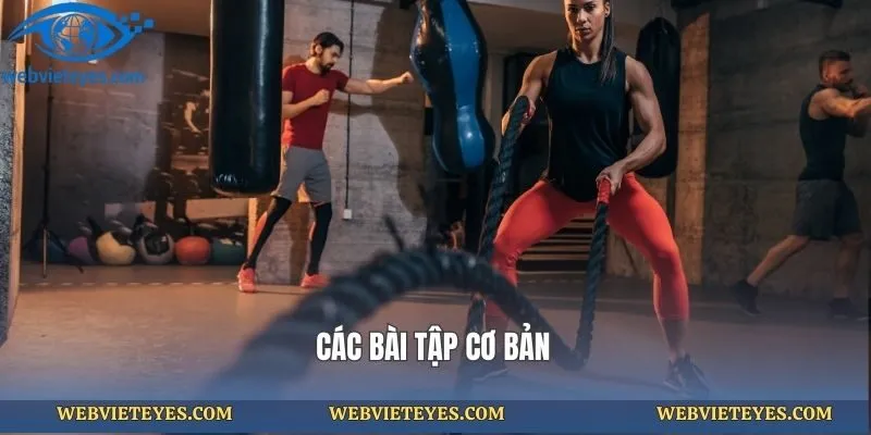 Các bài tập cơ bản