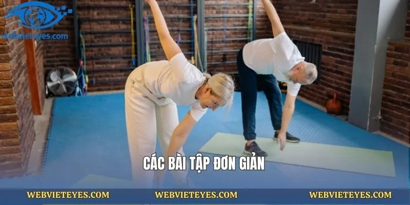 Các bài tập đơn giản