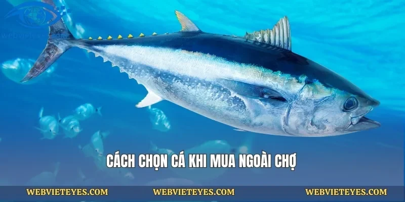 Cách chọn cá khi mua ngoài chợ