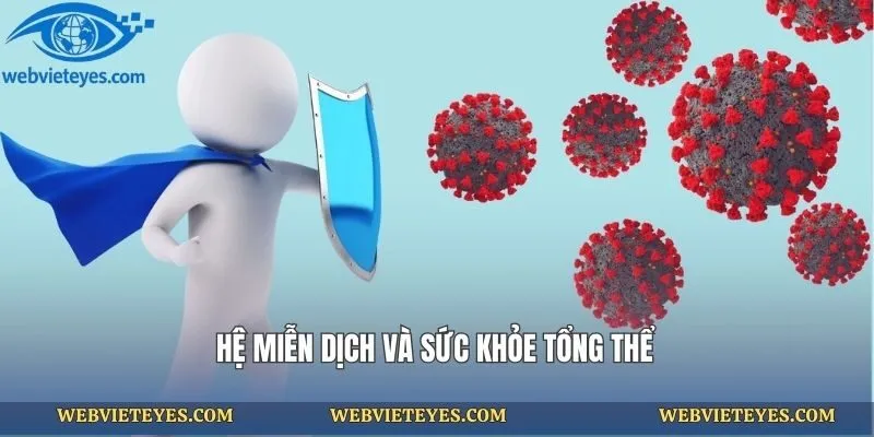 Hệ miễn dịch và sức khỏe tổng thể