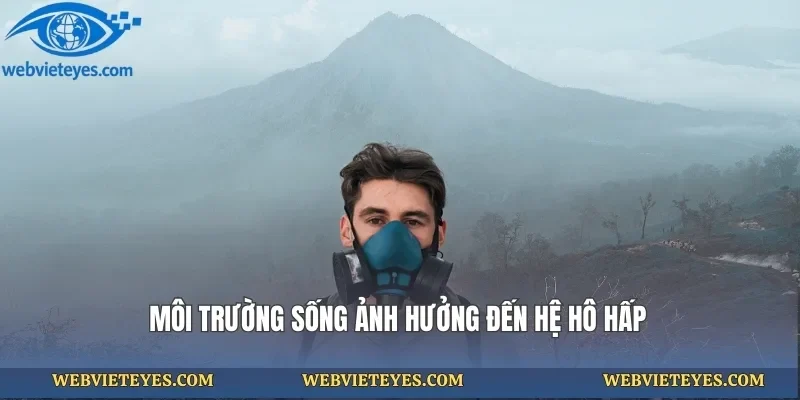 Môi trường sống ảnh hưởng đến hệ hô hấp