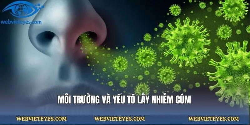 Môi trường và yếu tố lây nhiễm cúm