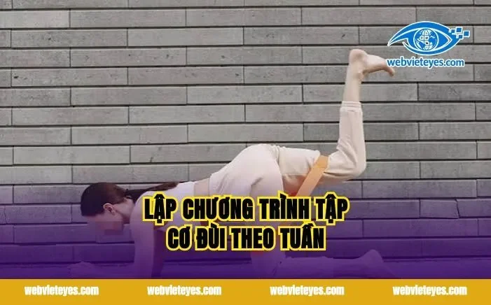Lập chương trình tập cơ đùi theo tuần
